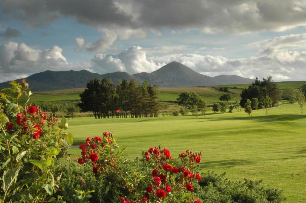 Quay West Ireland Bed & Breakfast Уестпорт Стая снимка