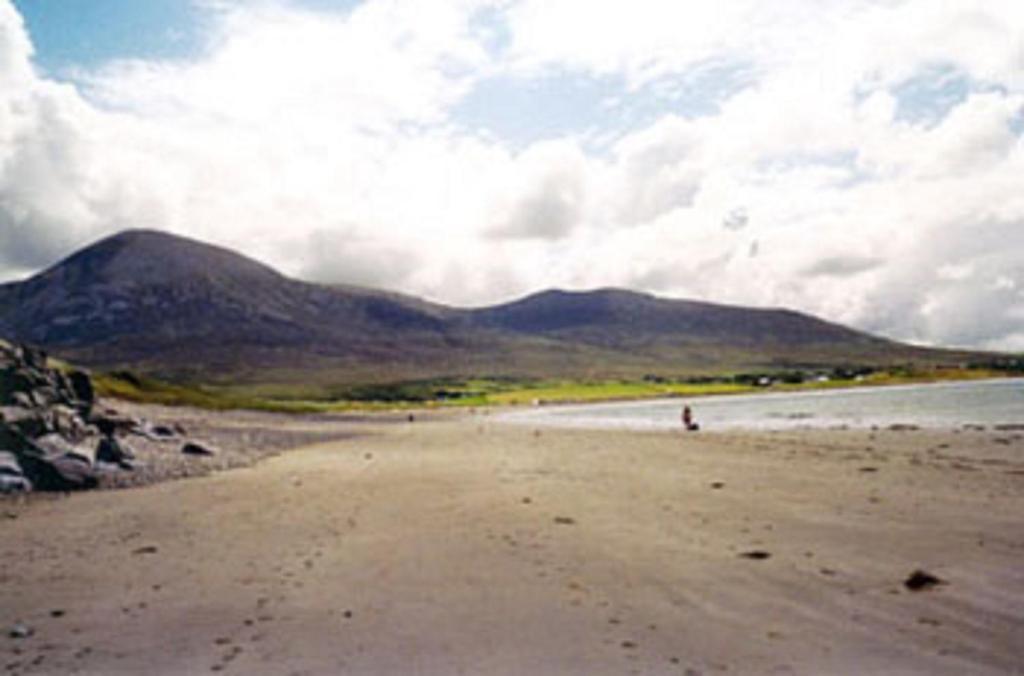 Quay West Ireland Bed & Breakfast Уестпорт Екстериор снимка