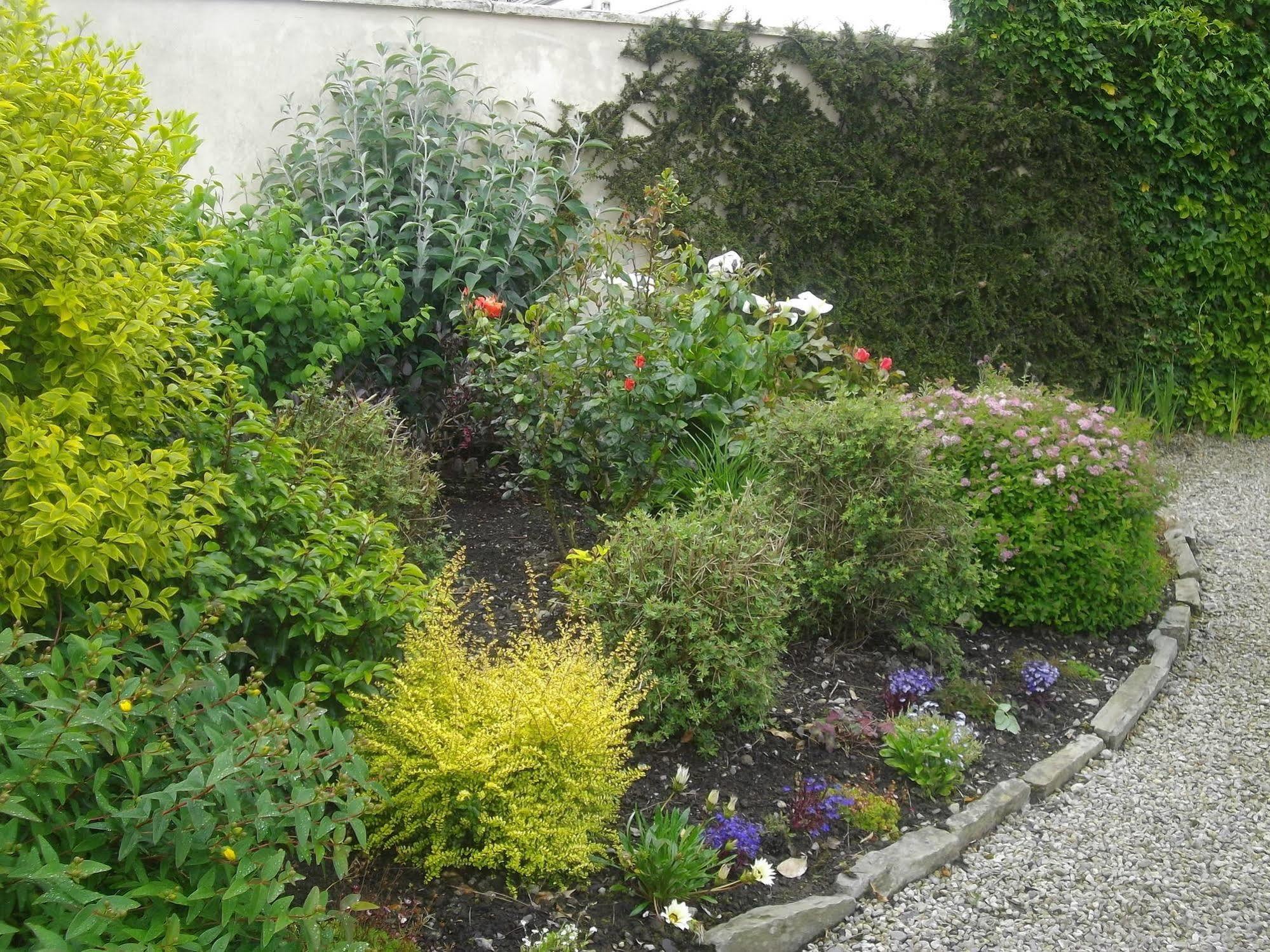 Quay West Ireland Bed & Breakfast Уестпорт Екстериор снимка